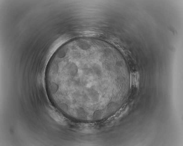 X0000111510147200908111316