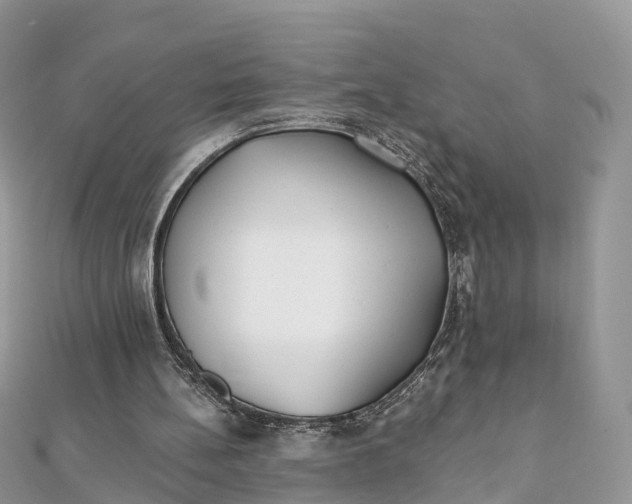 X0000111510148200908111316