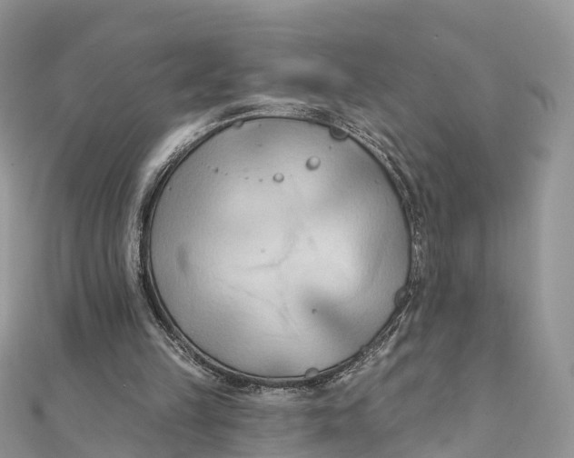 X0000111510149200908111316