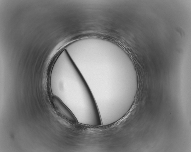 X0000111510150200908111316