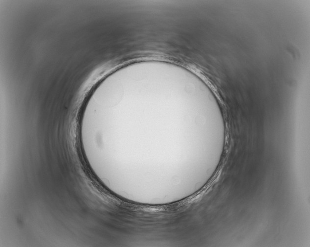 X0000111510151200908111316