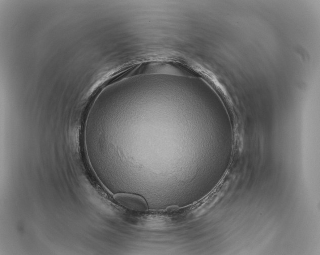 X0000111510154200908111316