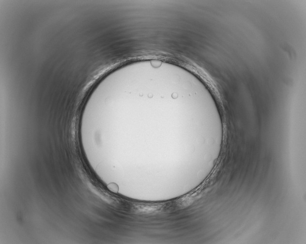X0000111510155200908111316