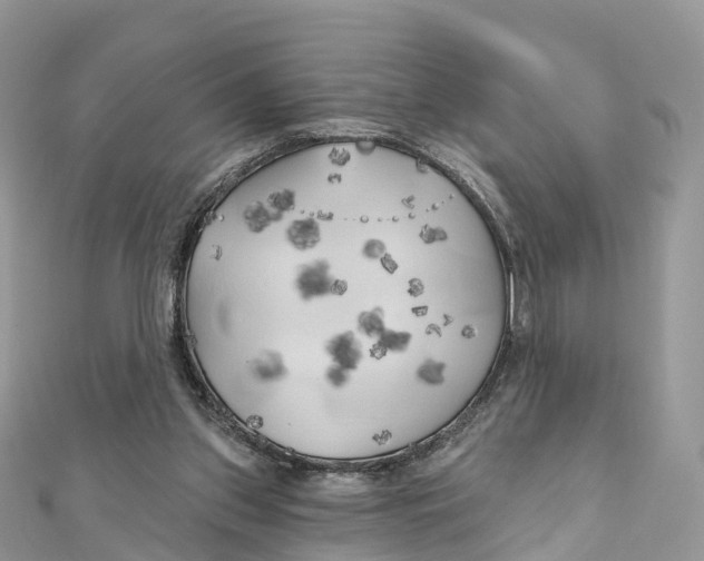 X0000111510157200908111316