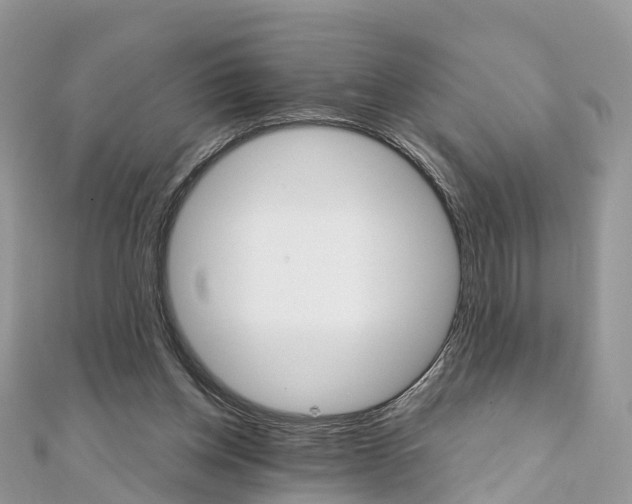 X0000111510158200908111316