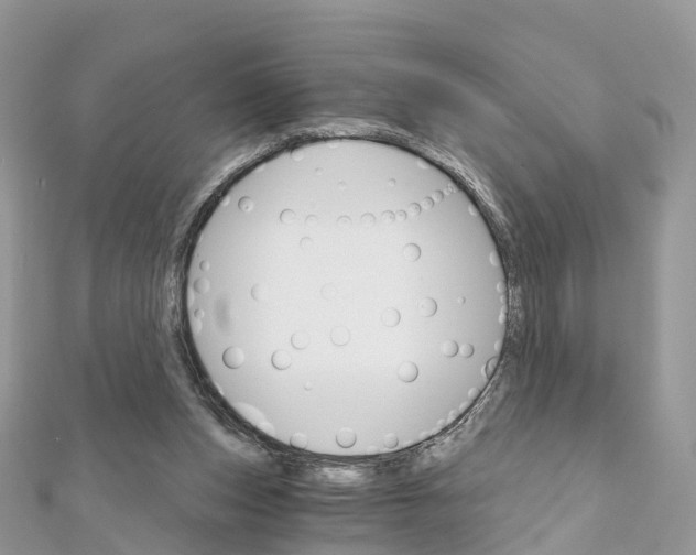 X0000111510159200908111316