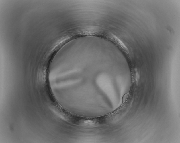 X0000111510163200908111316