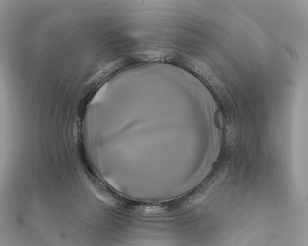 X0000111510165200908111316