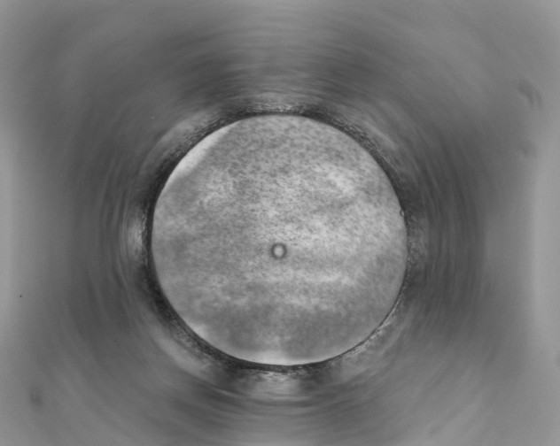 X0000111510166200908111316