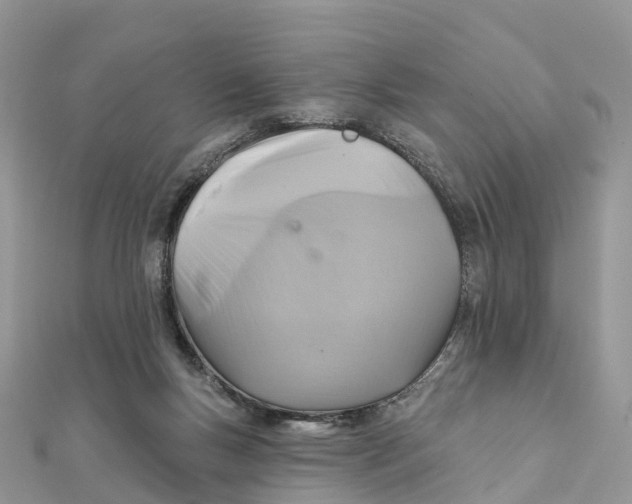 X0000111510167200908111317