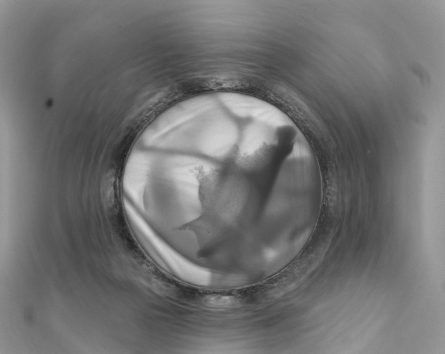 X0000111510169200908111317