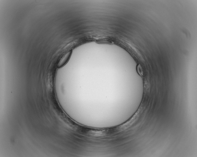 X0000111510170200908111317