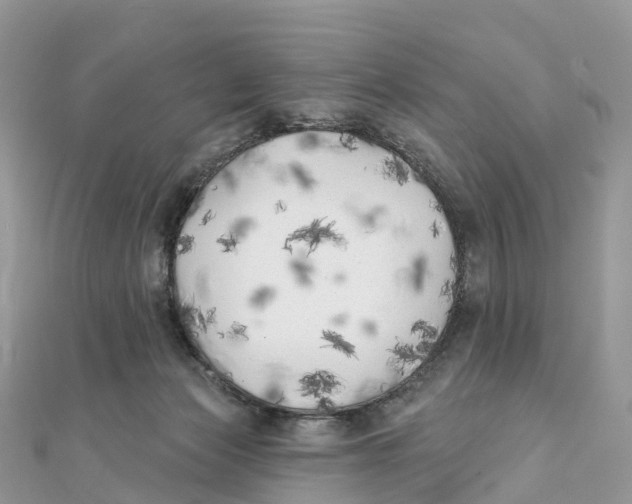 X0000111510173200908111317