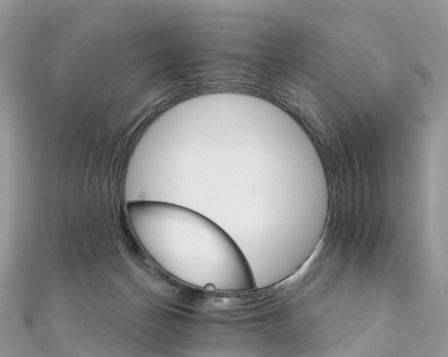 X0000111510174200908111317