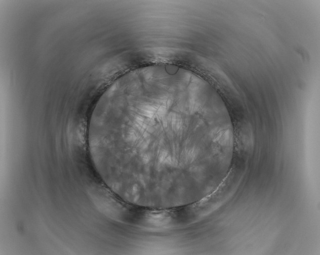 X0000111510175200908111317
