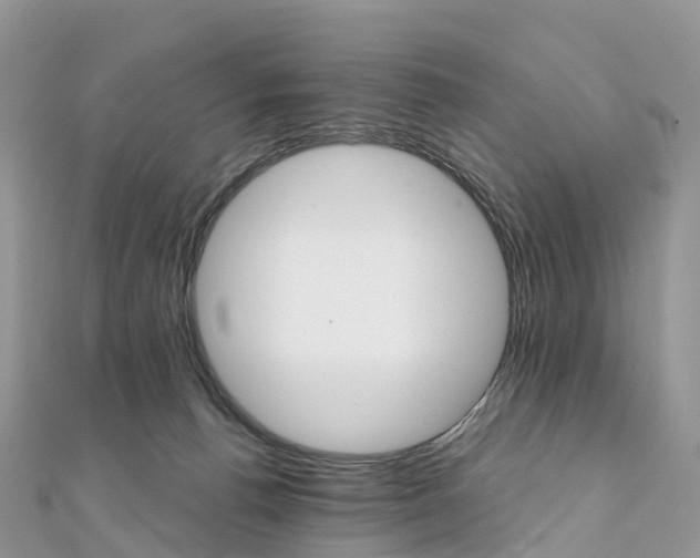 X0000111510176200908111317