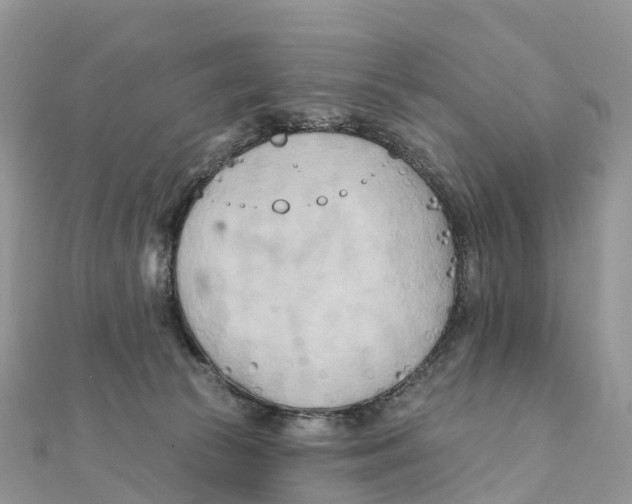 X0000111510177200908111317