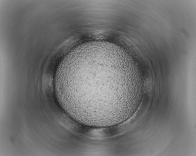X0000111510178200908111317