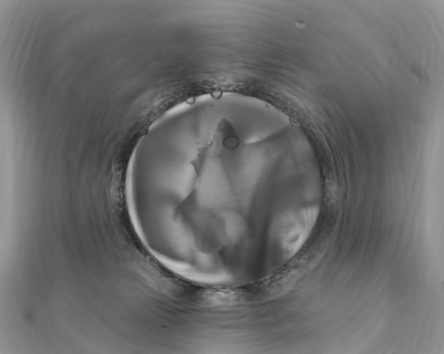 X0000111510181200908111317