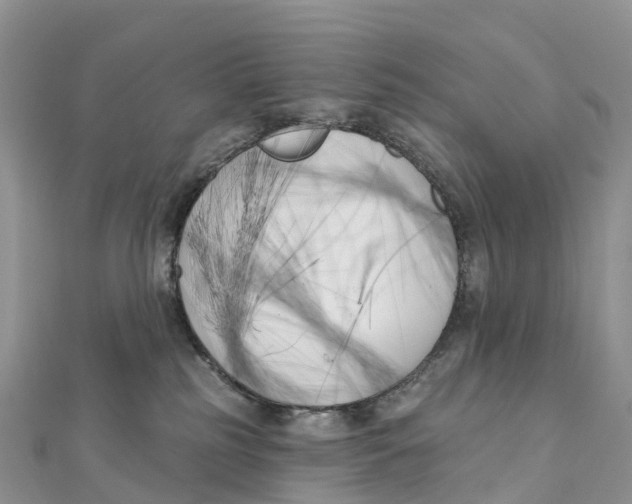 X0000111510185200908111317