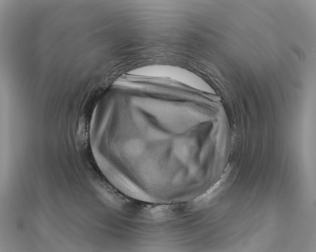 X0000111510186200908111317