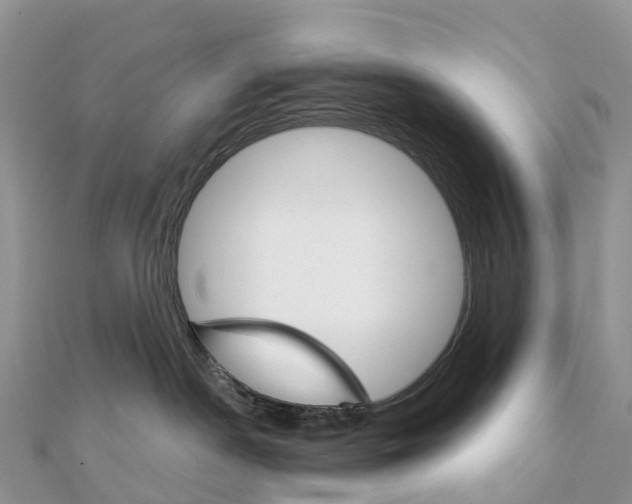 X0000111510190200908111317