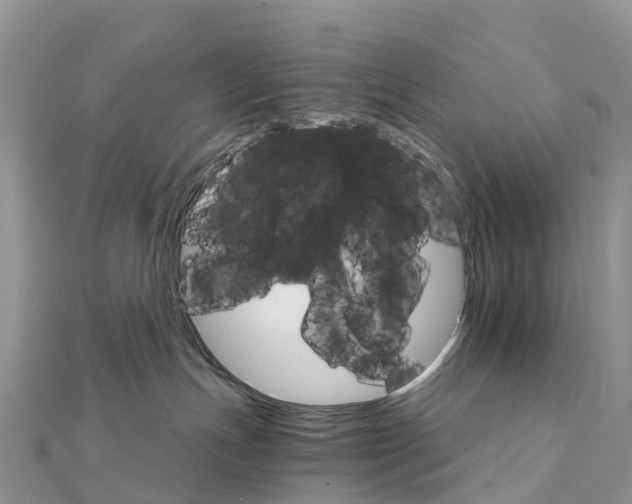 X0000111510191200908111317