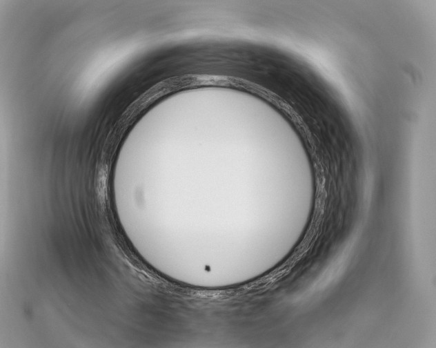 X0000111510194200908111316