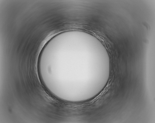 X0000111510195200908111316