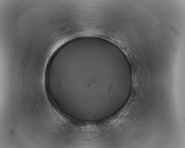 X0000111510196200908111316