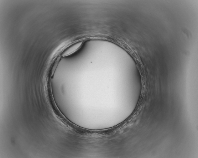 X0000111510197200908111316