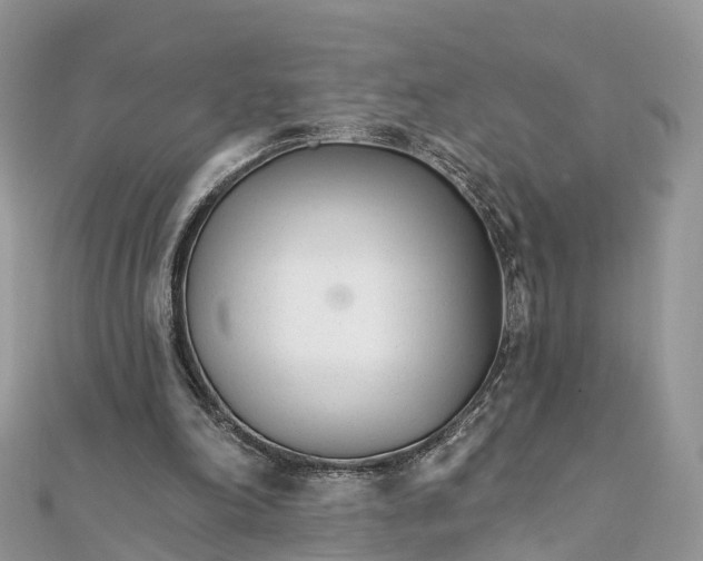X0000111510198200908111316