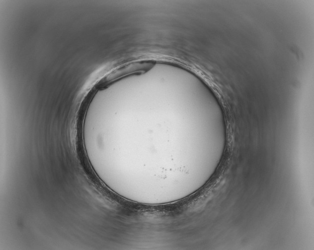 X0000111510199200908111316