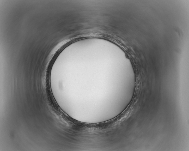 X0000111510200200908111316