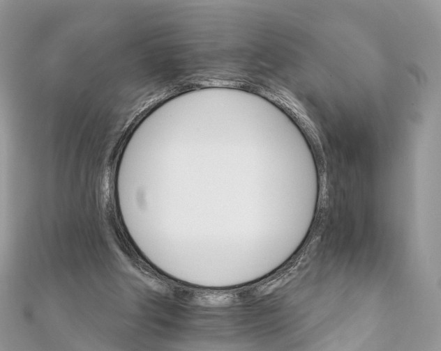 X0000111510202200908111316