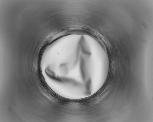 X0000111510203200908111316