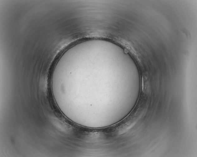 X0000111510204200908111316
