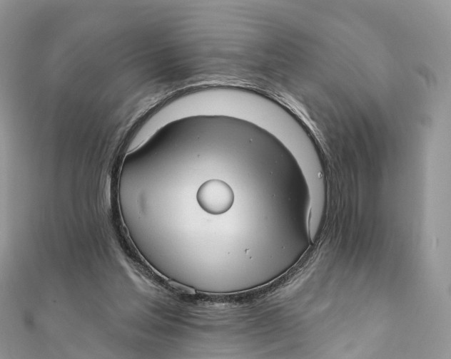 X0000111510205200908111316