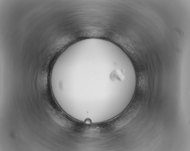 X0000111510206200908111316