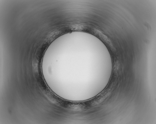 X0000111510209200908111316