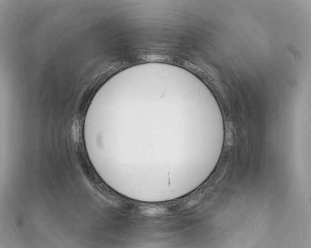 X0000111510210200908111316