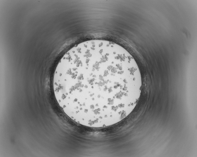 X0000111510212200908111316