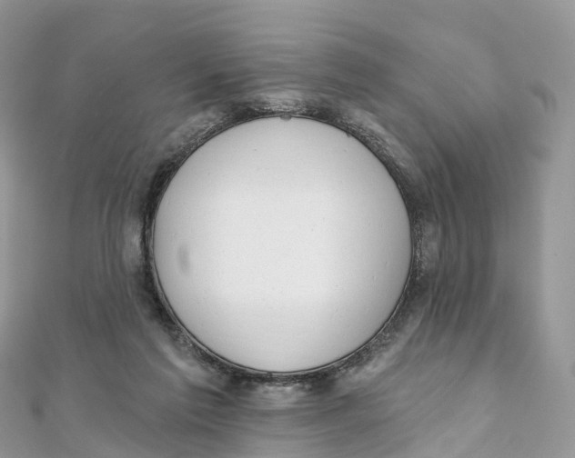 X0000111510213200908111316