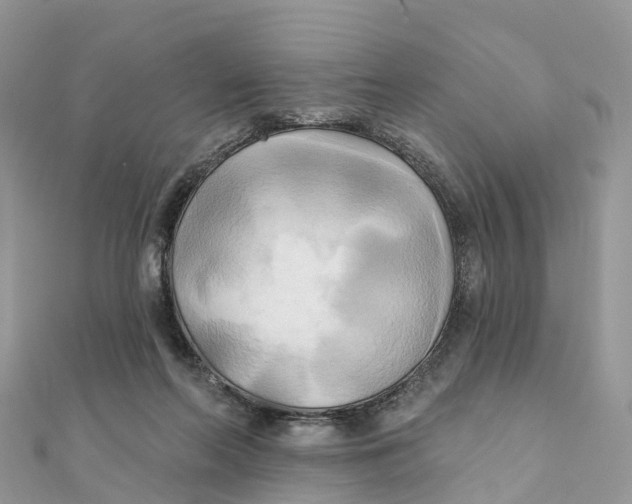 X0000111510214200908111316