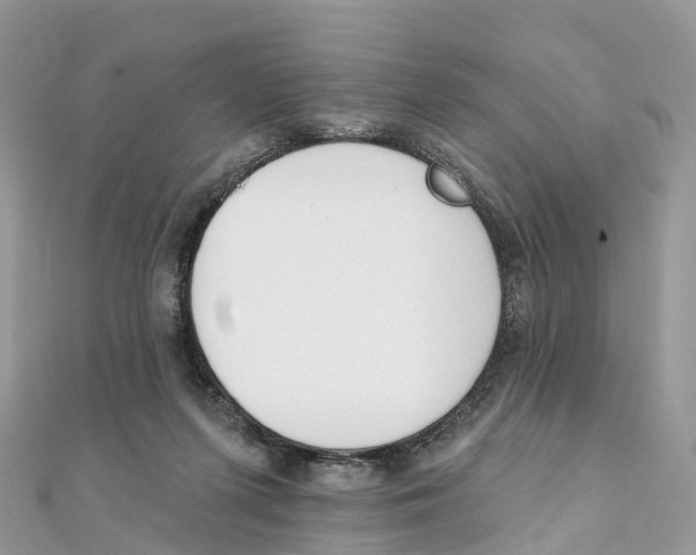 X0000111510215200908111316