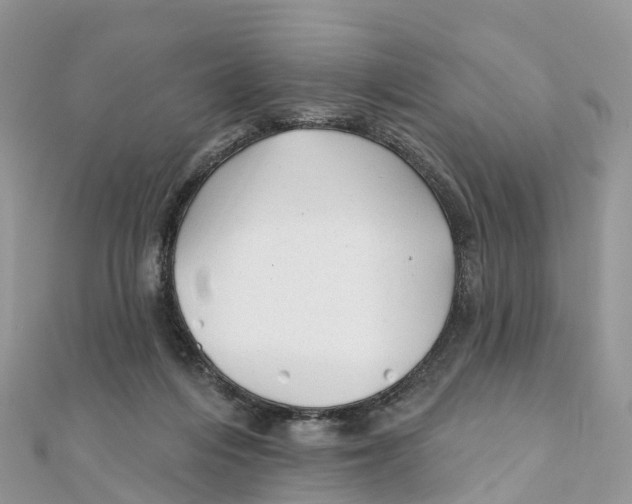 X0000111510216200908111316