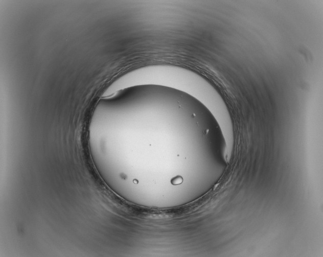 X0000111510217200908111316