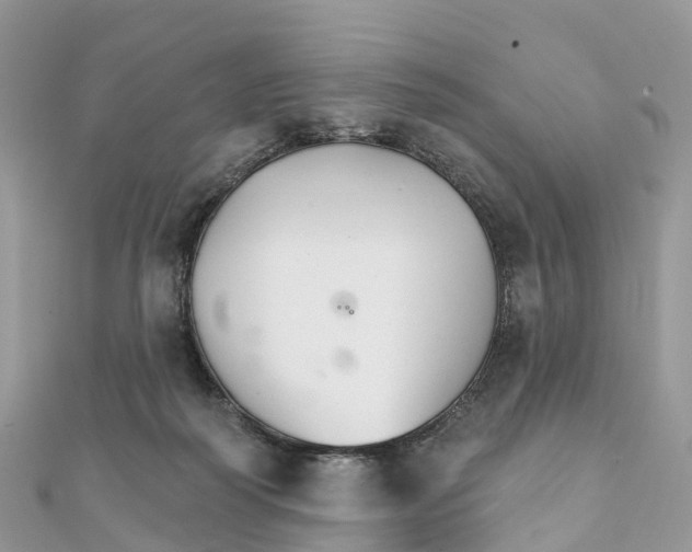 X0000111510218200908111316