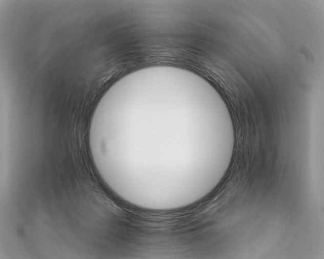 X0000111510219200908111316