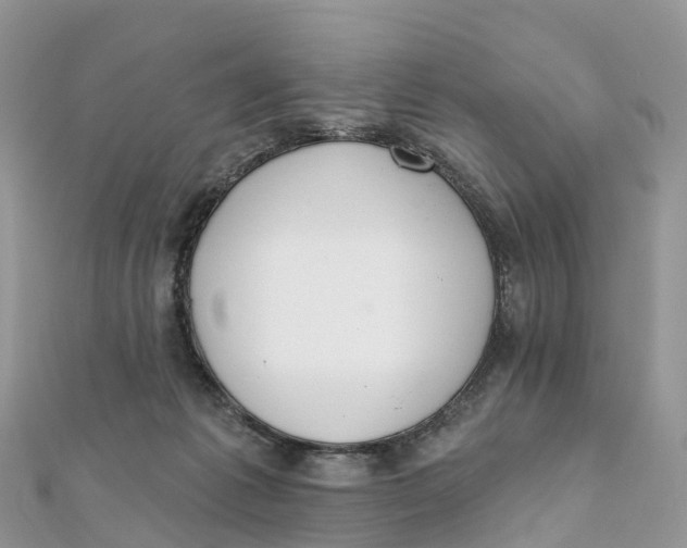 X0000111510221200908111316